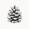 Pinecone